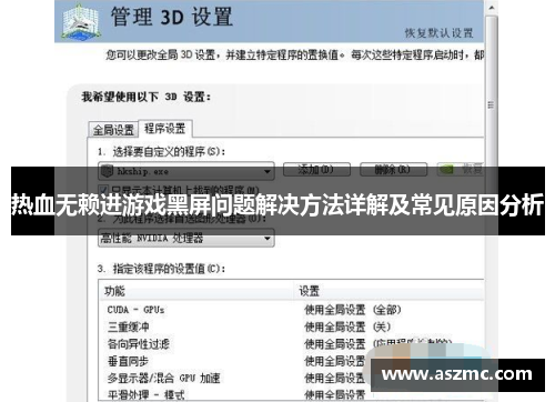 热血无赖进游戏黑屏问题解决方法详解及常见原因分析